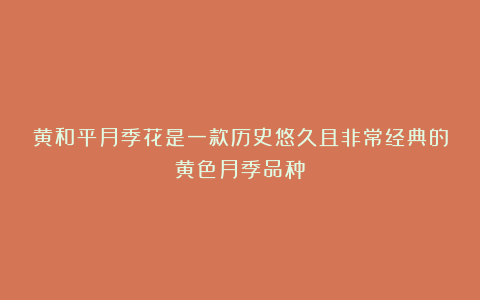 黄和平月季花是一款历史悠久且非常经典的黄色月季品种