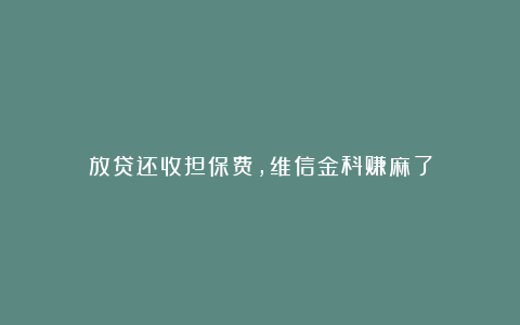 放贷还收担保费，维信金科赚麻了