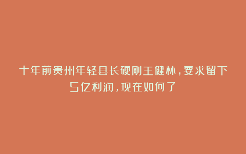 十年前贵州年轻县长硬刚王健林，要求留下5亿利润，现在如何了？