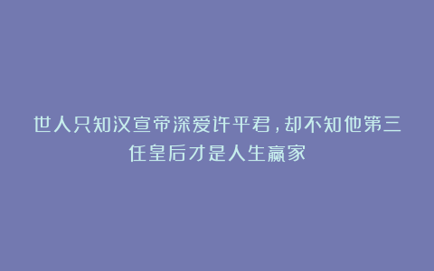 世人只知汉宣帝深爱许平君，却不知他第三任皇后才是人生赢家