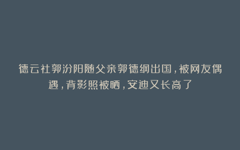 德云社郭汾阳随父亲郭德纲出国,被网友偶遇,背影照被晒,安迪又长高了