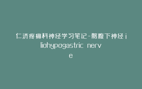 仁济疼痛科神经学习笔记-髂腹下神经（iliohypogastric nerve）