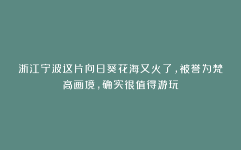 浙江宁波这片向日葵花海又火了，被誉为梵高画境，确实很值得游玩