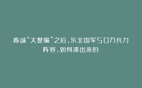 陈诚“大整编”之后，东北国军50万兵力阵容，如何凑出来的？