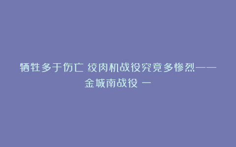 牺牲多于伤亡！绞肉机战役究竟多惨烈——金城南战役（一）