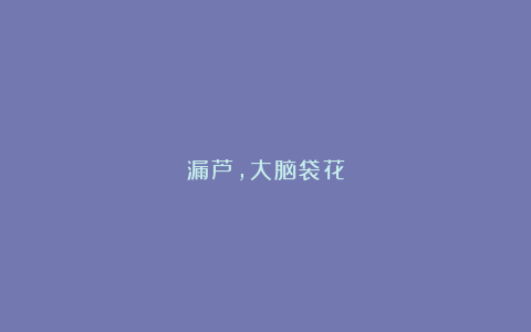 漏芦，大脑袋花