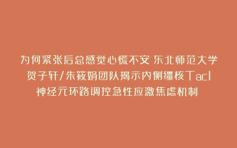 为何紧张后总感觉心慌不安？东北师范大学贺子轩/朱筱娟团队揭示内侧缰核Tac1神经元环路调控急性应激焦虑机制​​