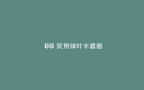 【荷】犹抱绿叶半遮面