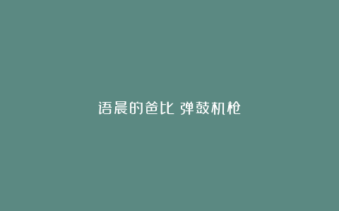 语晨的爸比：弹鼓机枪