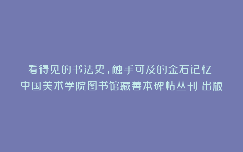 看得见的书法史，触手可及的金石记忆｜《中国美术学院图书馆藏善本碑帖丛刊》出版