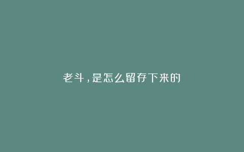 老斗，是怎么留存下来的？