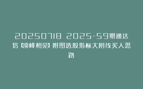 20250718 2025-59期通达信【顶峰相见】附图选股指标大阴线买入思路
