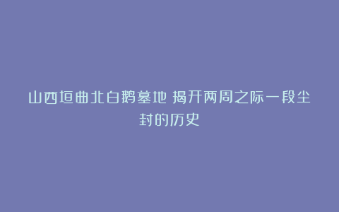山西垣曲北白鹅墓地：揭开两周之际一段尘封的历史