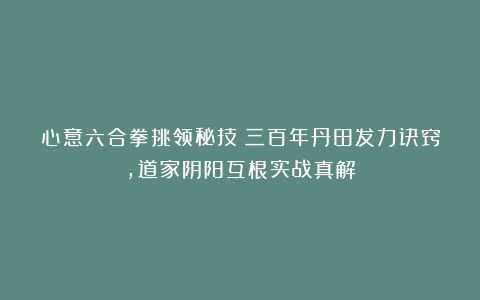 心意六合拳挑领秘技：三百年丹田发力诀窍，道家阴阳互根实战真解
