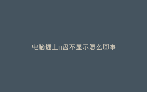 电脑插上u盘不显示怎么回事