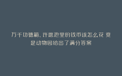 万千功德箱、许愿池里的钱币该怎么花？竟是动物园给出了满分答案