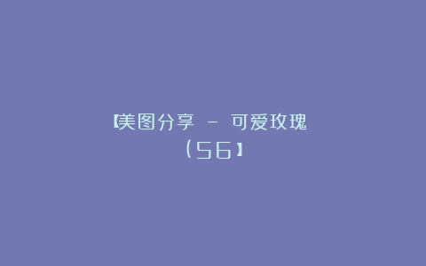 【美图分享 – 可爱玫瑰 (56）】