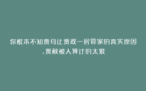 你根本不知贾母让贾政一房管家的真实原因,贾赦被人算计的太狠