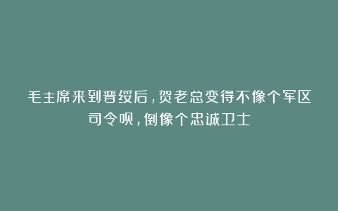 毛主席来到晋绥后，贺老总变得不像个军区司令员，倒像个忠诚卫士