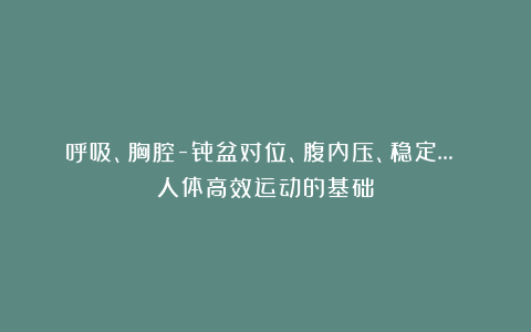 呼吸、胸腔-骨盆对位、腹内压、稳定… 人体高效运动的基础