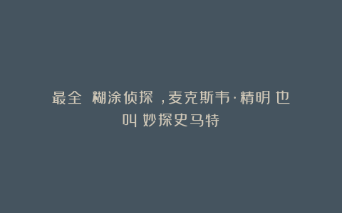 最全！《糊涂侦探》，麦克斯韦·精明！也叫《妙探史马特》