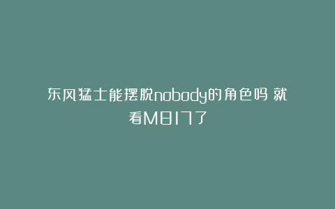 东风猛士能摆脱nobody的角色吗？就看M817了