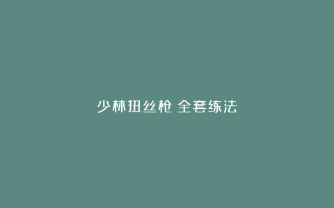 少林扭丝枪（全套练法）