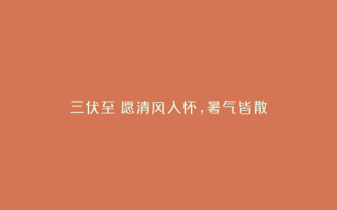 三伏至：愿清风入怀，暑气皆散