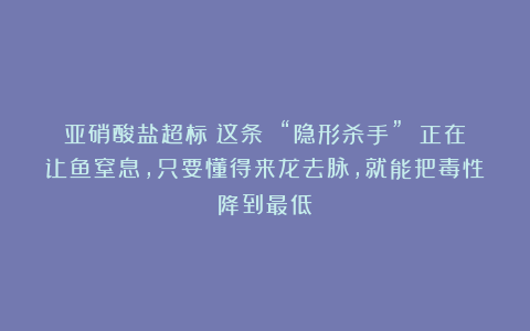 亚硝酸盐超标？这条 “隐形杀手” 正在让鱼窒息，只要懂得来龙去脉，就能把毒性降到最低！