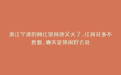 浙江宁波的网红赏荷地又火了，红荷花多不胜数，确实是休闲好去处
