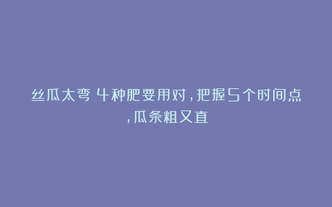 丝瓜太弯？4种肥要用对，把握5个时间点，瓜条粗又直