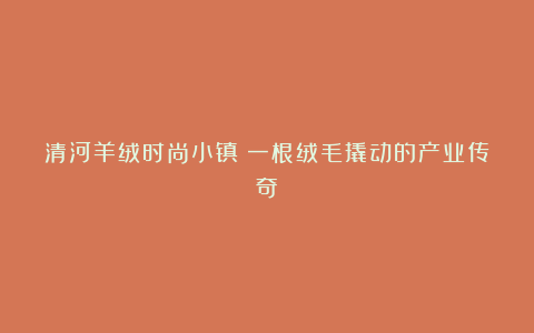 清河羊绒时尚小镇：一根绒毛撬动的产业传奇！