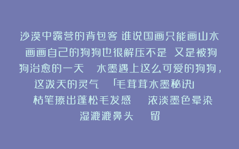 沙漠中露营的背包客：谁说国画只能画山水？画画自己的狗狗也很解压不是 又是被狗狗治愈的一天🐾水墨遇上这么可爱的狗狗，这泼天的灵气！ 「毛茸茸水墨秘诀」 ✅ 枯笔擦出蓬松毛发感 ✅ 浓淡墨色晕染湿漉漉鼻头 ✅ 留