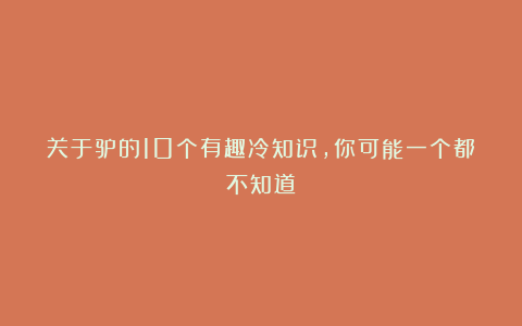 关于驴的10个有趣冷知识，你可能一个都不知道！