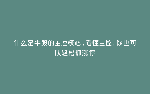 什么是牛股的主控核心，看懂主控，你也可以轻松抓涨停！