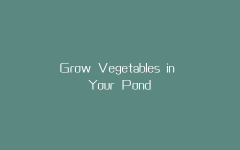 Grow Vegetables in Your Pond