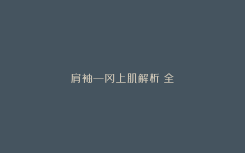 肩袖—冈上肌解析（全）