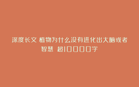 深度长文:植物为什么没有进化出大脑或者智慧?(超10000字)