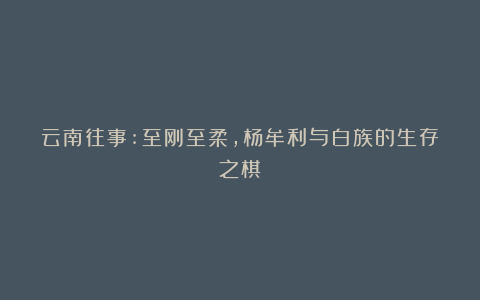云南往事:至刚至柔,杨牟利与白族的生存之棋