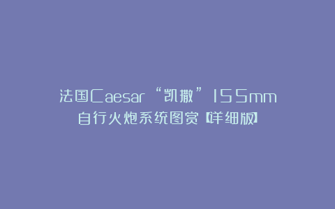法国Caesar “凯撒” 155mm自行火炮系统图赏【详细版】