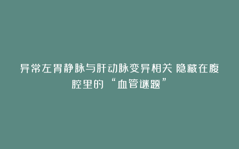 异常左胃静脉与肝动脉变异相关：隐藏在腹腔里的 “血管谜题”！