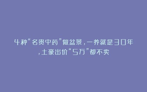 4种“名贵中药”做盆景，一养就是30年，土豪出价“5万”都不卖！