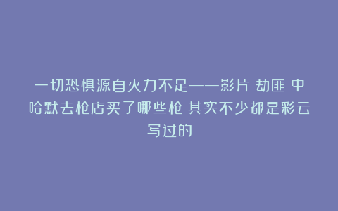 一切恐惧源自火力不足——影片《劫匪》中哈默去枪店买了哪些枪？其实不少都是彩云写过的