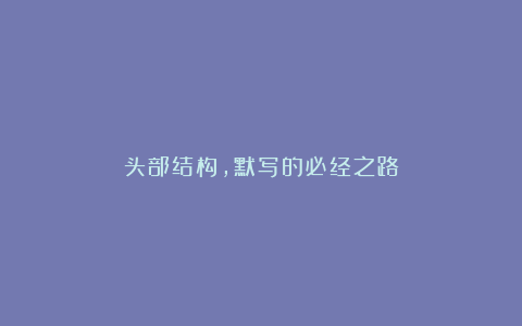 头部结构，默写的必经之路