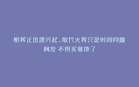 树葬正迅速兴起，取代火葬只是时间问题？网友：不用买墓地了