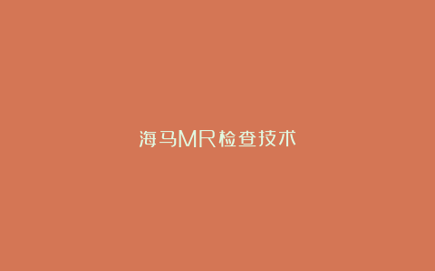 海马MR检查技术