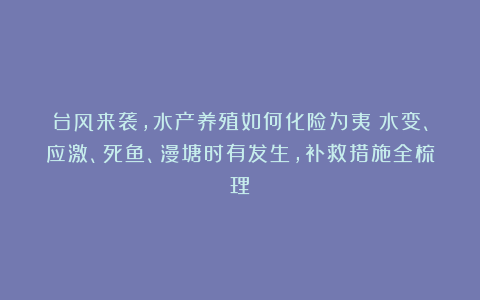 台风来袭，水产养殖如何化险为夷？水变、应激、死鱼、漫塘时有发生，补救措施全梳理！