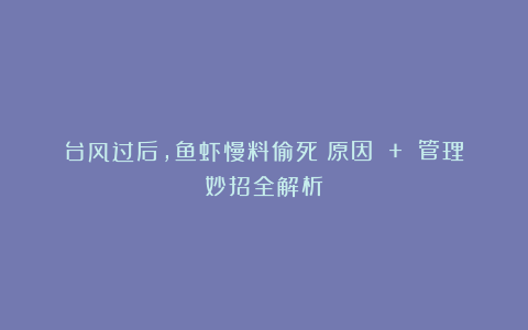 台风过后，鱼虾慢料偷死？原因 + 管理妙招全解析！