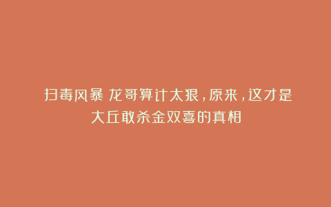 《扫毒风暴》龙哥算计太狠，原来，这才是大丘敢杀金双喜的真相