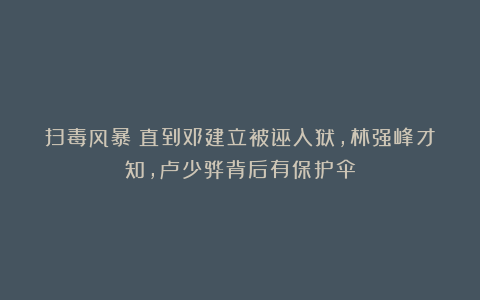 扫毒风暴：直到邓建立被诬入狱，林强峰才知，卢少骅背后有保护伞